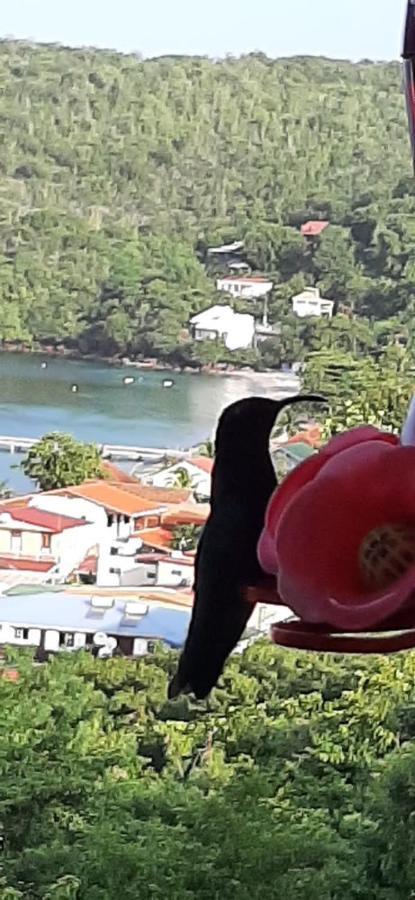 Appartement Colibri , Les Anses D 'Arlet ภายนอก รูปภาพ