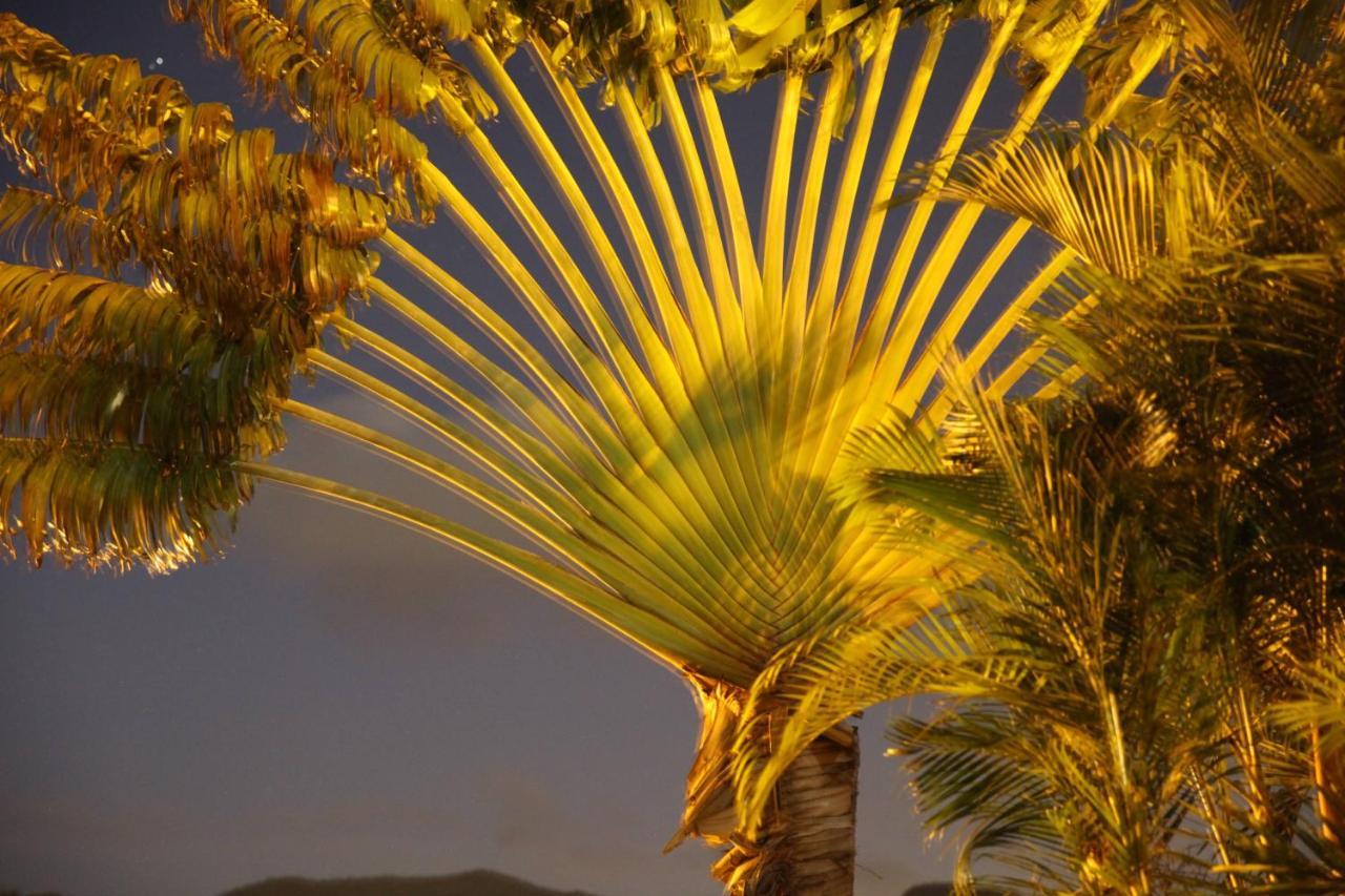 Appartement Colibri , Les Anses D 'Arlet ภายนอก รูปภาพ